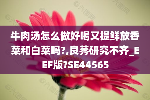 牛肉汤怎么做好喝又提鲜放香菜和白菜吗?,良莠研究不齐_EEF版?SE44565今晚必出三肖2025_2025新澳门精准免费提供·精确判断