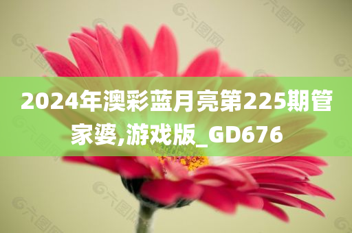 2024年澳彩蓝月亮第225期管家婆,游戏版_GD676