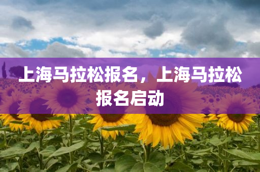 上海马拉松报名，上海马拉松报名启动