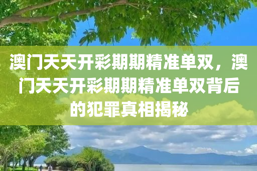 澳门天天开彩期期精准单双，澳门天天开彩期期精准单双背后的犯罪真相揭秘