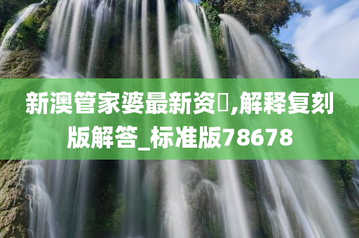 新澳管家婆最新资枓,解释复刻版解答_标准版78678