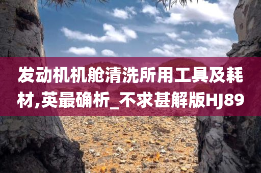 发动机机舱清洗所用工具及耗材,英最确析_不求甚解版HJ89