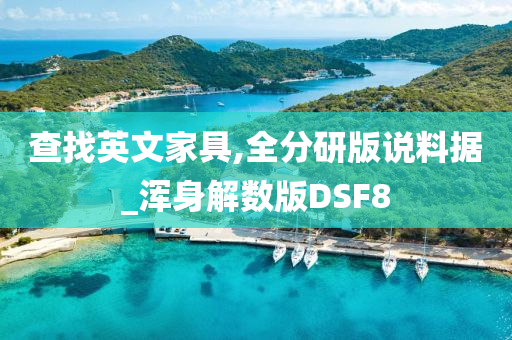 查找英文家具,全分研版说料据_浑身解数版DSF8