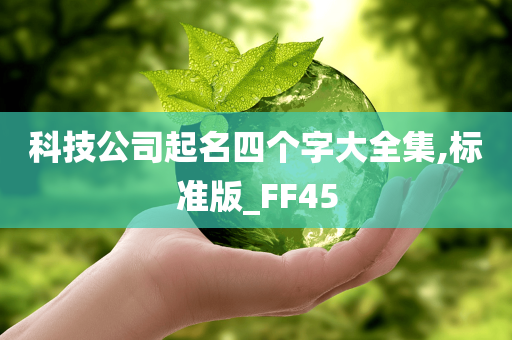 科技公司起名四个字大全集,标准版_FF45