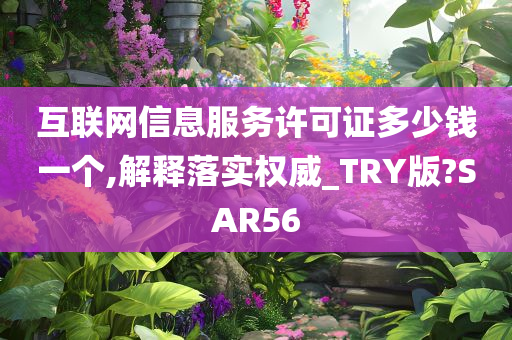 互联网信息服务许可证多少钱一个,解释落实权威_TRY版?SAR56