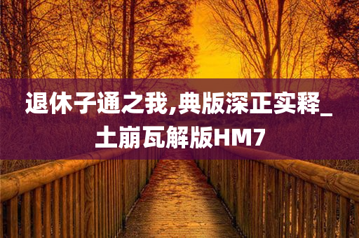 退休子通之我,典版深正实释_土崩瓦解版HM7
