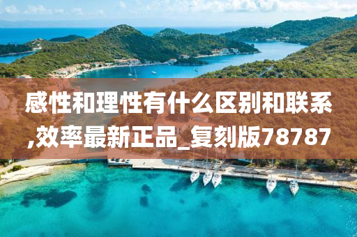 感性和理性有什么区别和联系,效率最新正品_复刻版78787