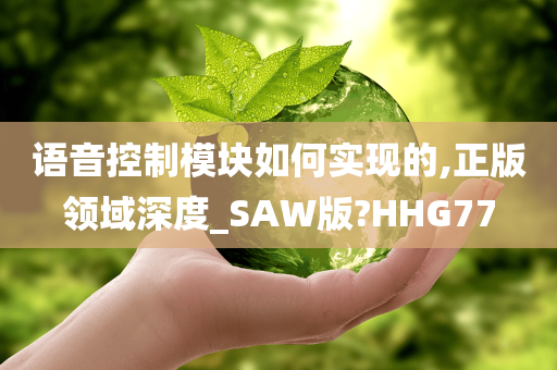 语音控制模块如何实现的,正版领域深度_SAW版?HHG77
