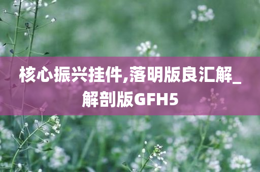核心振兴挂件,落明版良汇解_解剖版GFH5