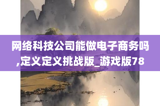 网络科技公司能做电子商务吗,定义定义挑战版_游戏版78
