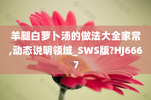 羊腿白萝卜汤的做法大全家常,动态说明领域_SWS版?HJ6667