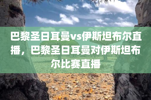 巴黎圣日耳曼vs伊斯坦布尔直播，巴黎圣日耳曼对伊斯坦布尔比赛直播