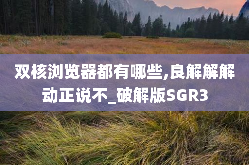 双核浏览器都有哪些,良解解解动正说不_破解版SGR3