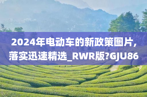 2024年电动车的新政策图片,落实迅速精选_RWR版?GJU86