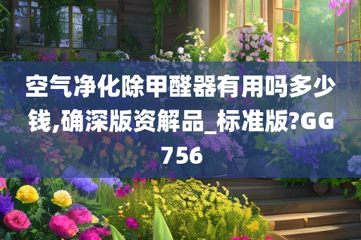 空气净化除甲醛器有用吗多少钱,确深版资解品_标准版?GG756
