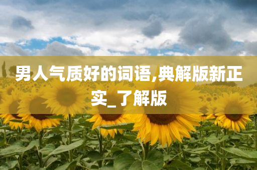 男人气质好的词语,典解版新正实_了解今晚必出三肖2025_2025新澳门精准免费提供·精确判断版