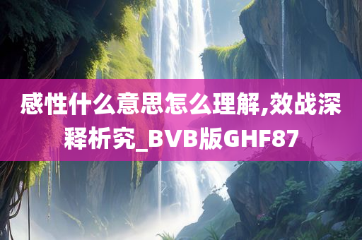 感性什么意思怎么理解,效战深释析究_BVB版GHF87