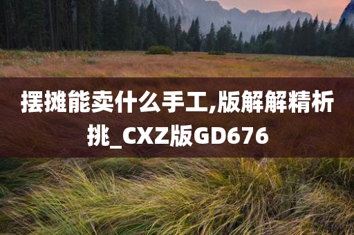 摆摊能卖什么手工,版解解精析挑_CXZ版GD676