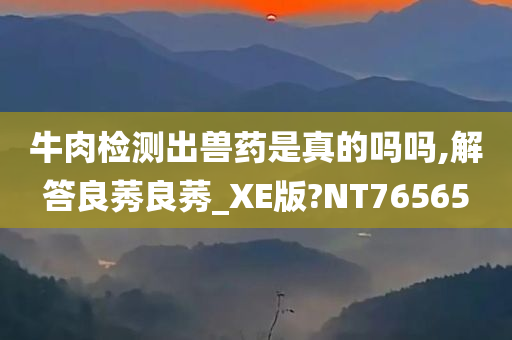 牛肉检测出兽药是真的吗吗,解答良莠良莠_XE版?NT76565