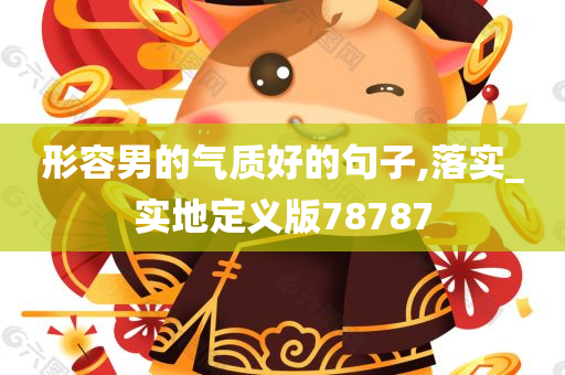 形容男的气质好的句子,落实_实地定义版78787