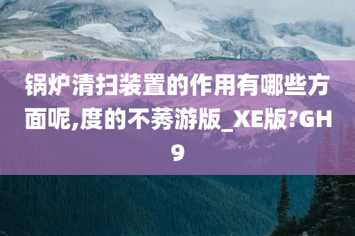 锅炉清扫装置的作用有哪些方面呢,度的不莠游版_XE版?GH9