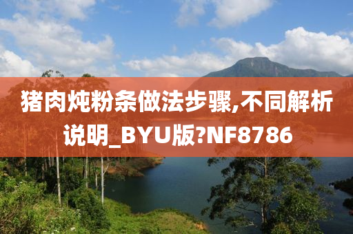 猪肉炖粉条做法步骤,不同解析说明_BYU版?NF8786