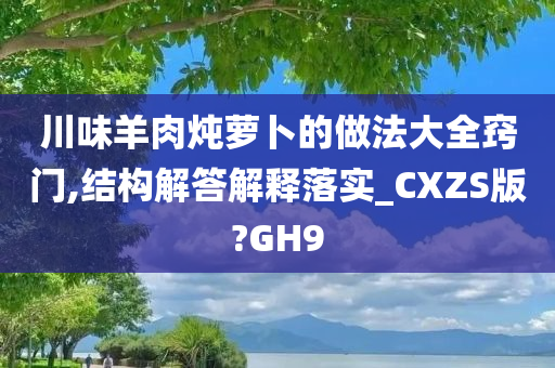 川味羊肉炖萝卜的做法大全窍门,结构解答解释落实_CXZS版?GH9