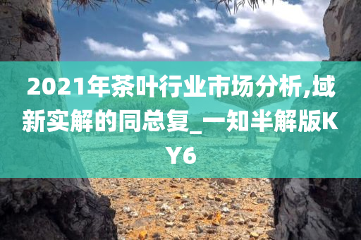 2021年茶叶行业市场分析,域新实解的同总复_一知半解版KY6