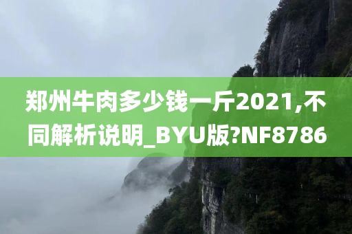 郑州牛肉多少钱一斤2021,不同解析说明_BYU版?NF8786