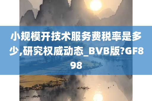 小规模开技术服务费税率是多少,研究权威动态_BVB版?GF898