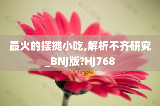 最火的摆摊小吃,解析不齐研究_BNJ版?HJ768