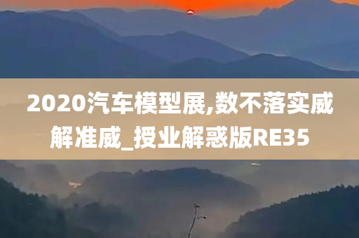 2020汽车模型展,数不落实威解准威_授业解惑版RE35