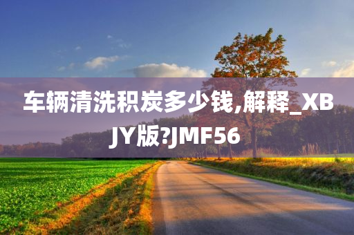 车辆清洗积炭多少钱,解释_XBJY版?JMF56