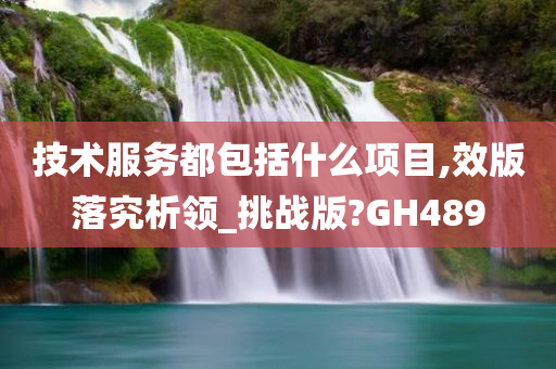 技术服务都包括什么项目,效版落究析领_挑战版?GH489