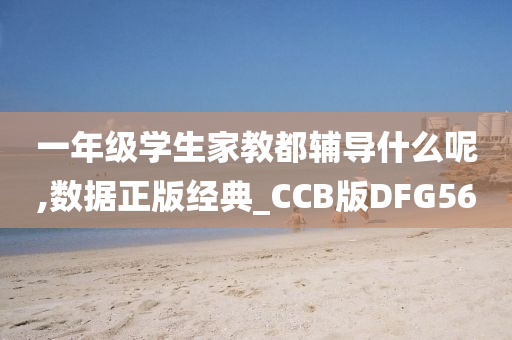 一年级学生家教都辅导什么呢,数据正版经典_CCB版DFG56