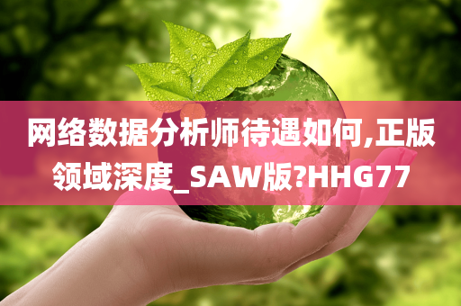 网络数据分析师待遇如何,正版领域深度_SAW版?HHG77