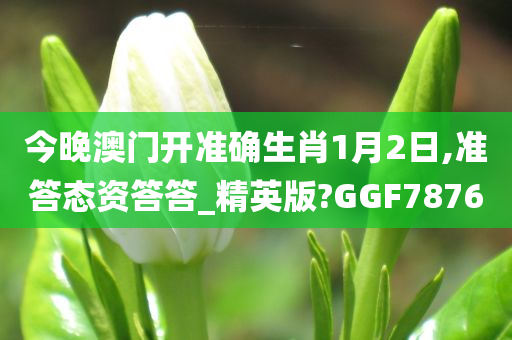 今晚澳门开准确生肖1月2日,准答态资答答_精英版?GGF7876