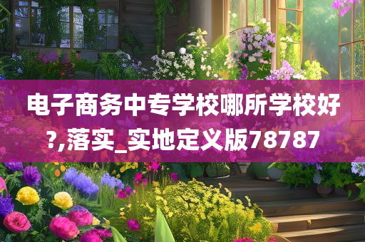 电子商务中专学校哪所学校好?,落实_实地定义版78787