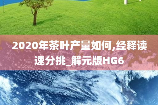 2020年茶叶产量如何,经释读速分挑_解元版HG6