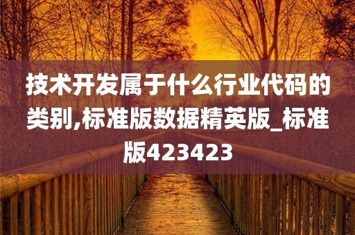 技术开发属于什么行业代码的类别,标准版数据精英版_标准版423423