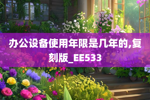 办公设备使用年限是几年的,复刻版_EE533