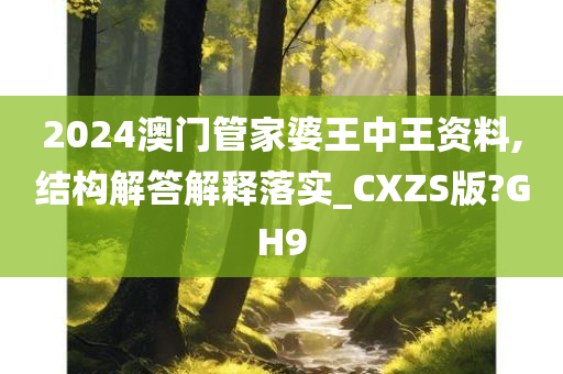 2024澳门管家婆王中王资料,结构解答解释落实_CXZS版?GH9