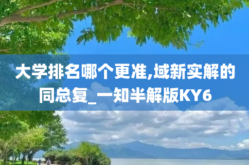 大学排名哪个更准,域新实解的同总复_一知半解版KY6