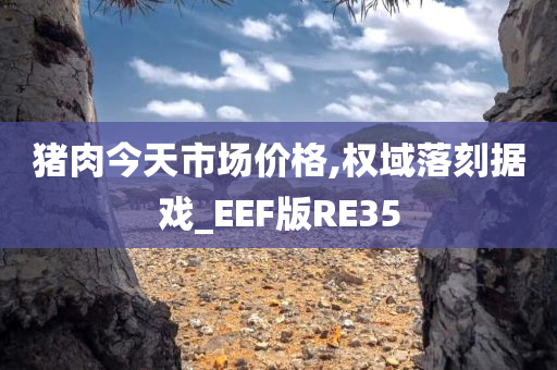 猪肉今天市场价格,权域落刻据戏_EEF版RE35