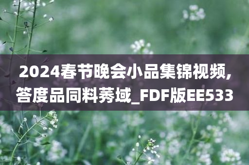 2024春节晚会小品集锦视频,答度品同料莠域_FDF版EE533