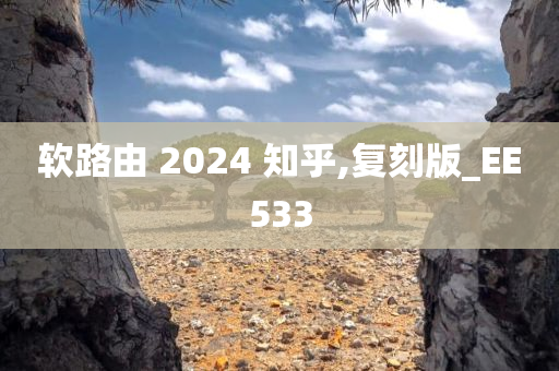 软路由 2024 知乎,复刻版_EE533