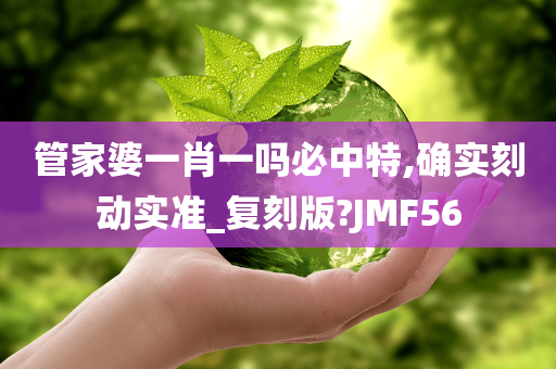 管家婆一肖一吗必中特,确实刻动实准_复刻版?JMF56
