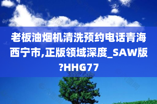 老板油烟机清洗预约电话青海西宁市,正版领域深度_SAW版?HHG77