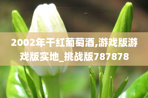2002年干红葡萄酒,游戏版游戏版实地_挑战版787878