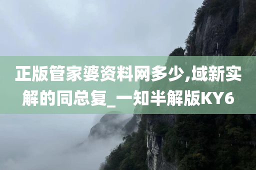 正版管家婆资料网多少,域新实解的同总复_一知半解版KY6